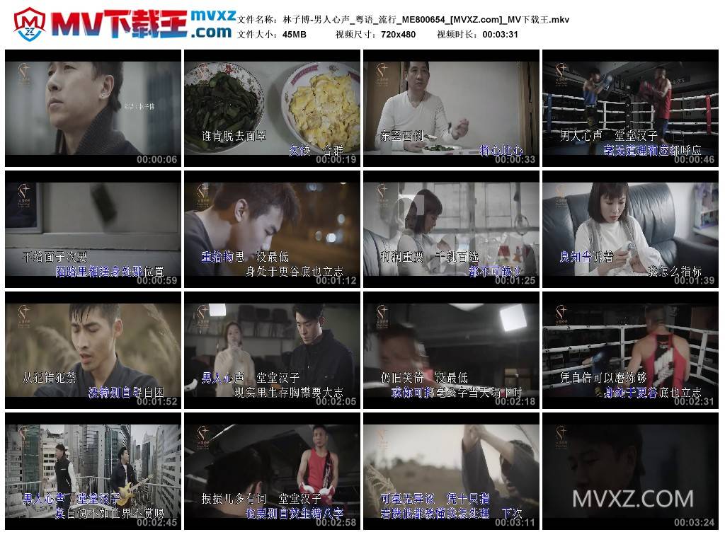 林子博-男人心声_粤语_流行_ME800654